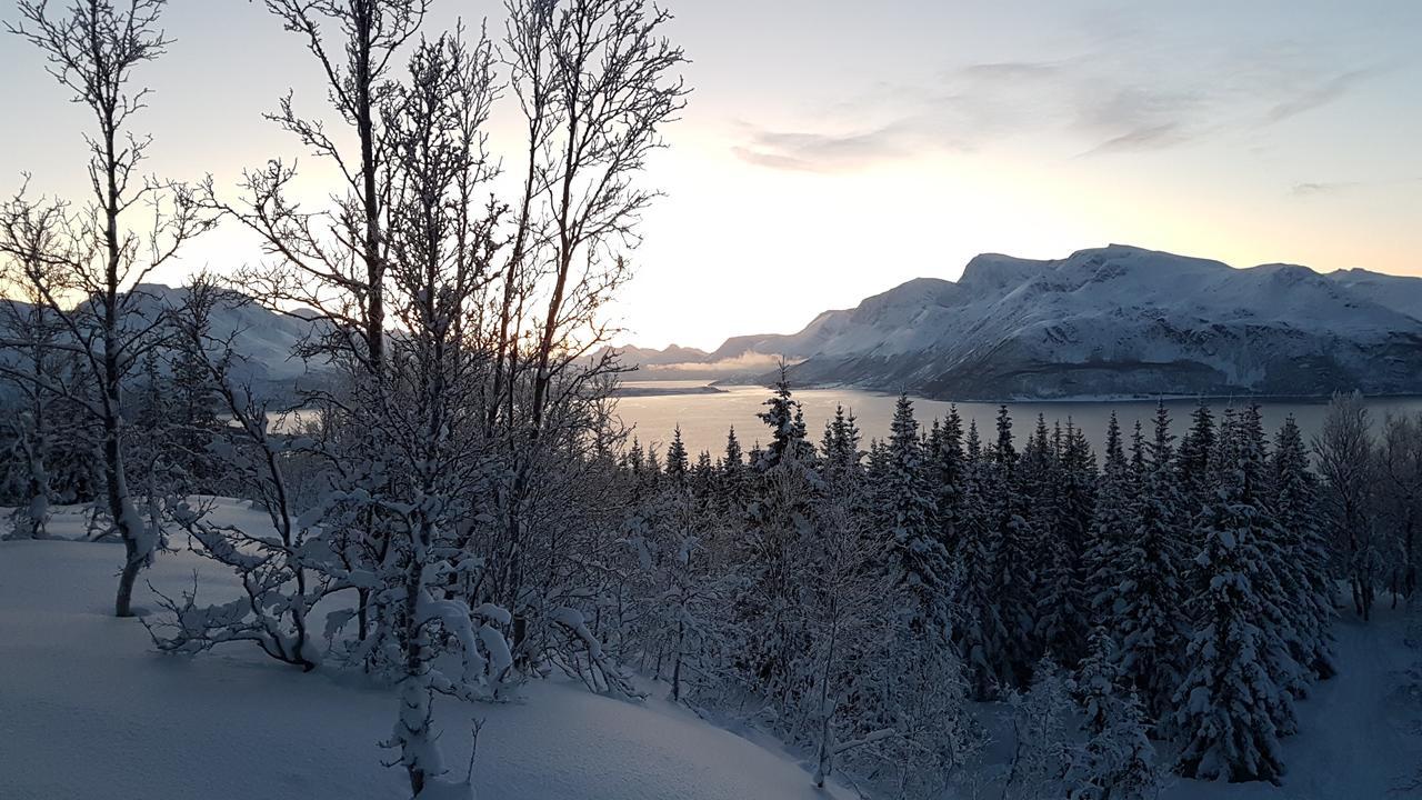 Вилла Slettvold Lyngen Svensby Экстерьер фото